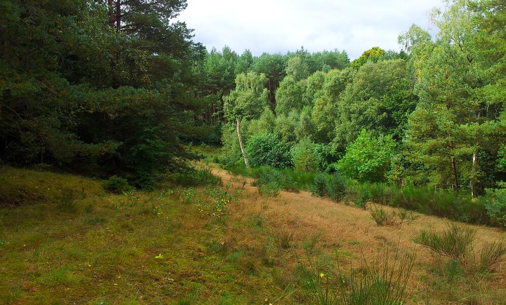 DBU-Naturerbe © DBU Naturerbe GmbH