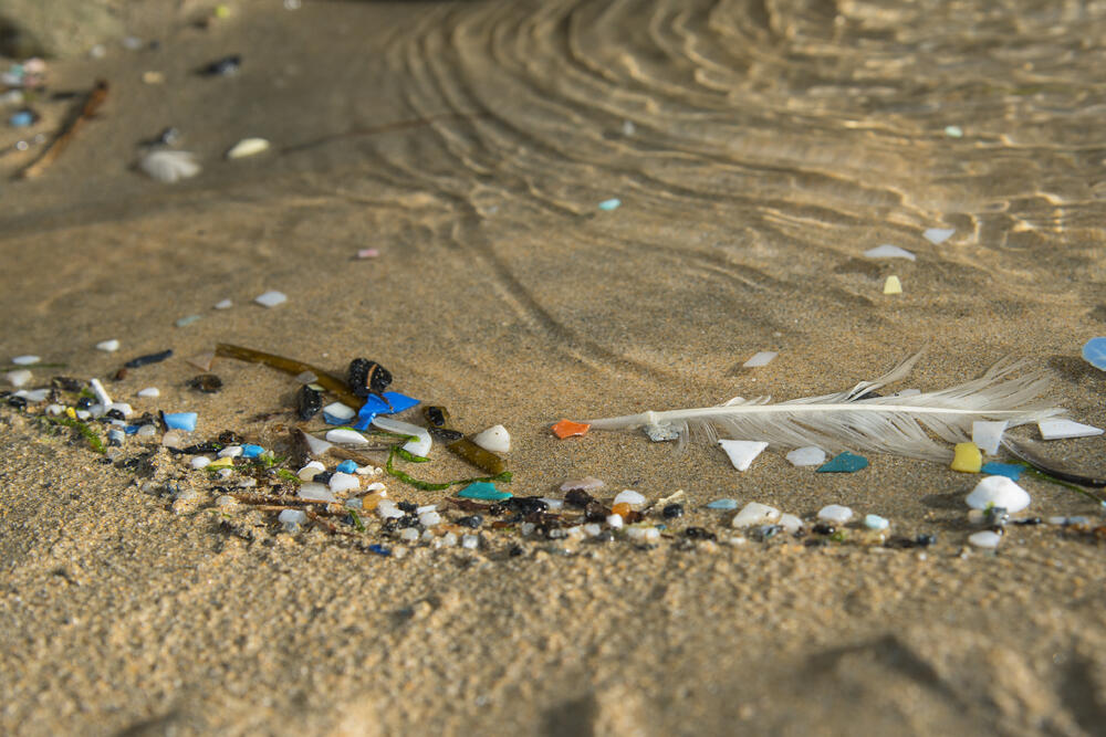 Plastikmüll wird durch Wetter, Strömungen und Gezeiten zu Mikroplastik (unter 5 Millimeter) zerkleinert. © G. Wahl - stock.abobe.com