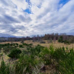 DBU-Naturerbefläche Prora © Lena Fitzner/DBU Naturerbe 