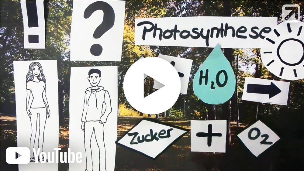 Vorschaubild - Jugendkongress Biodiversität 2017 (YouTube 