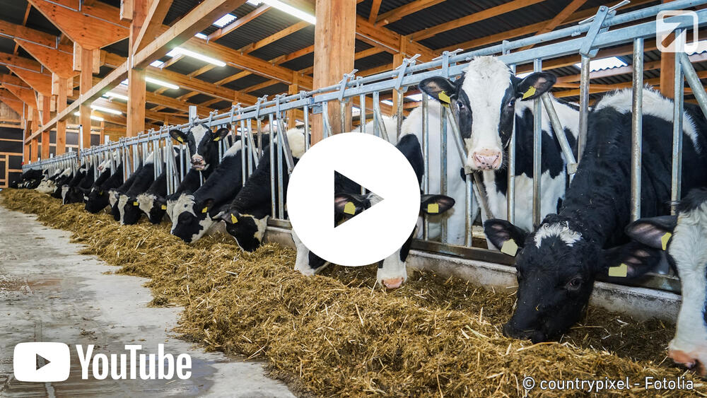 Vorschaubild - Podiumsdiskussion 