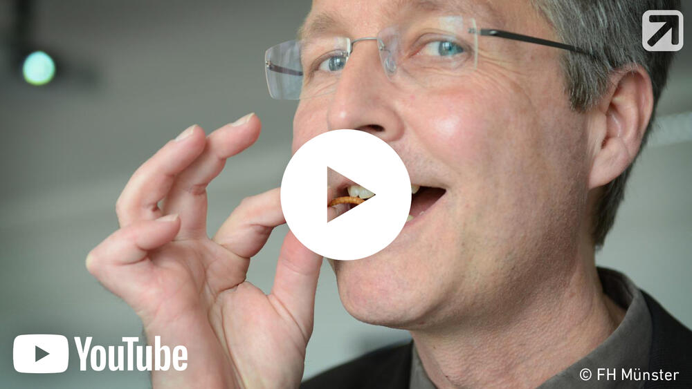 Vorschaubild - Insekten Nahrung 