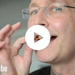 Vorschaubild - Insekten Nahrung 