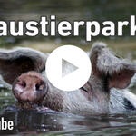 Vorschaubild - Die Bedeuttung von Haustierparks &copy; Arche Warder, Lisa Iwon