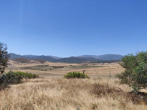 SoilEye - SmartCloudFarming - Pilotfläche Zypern © Michele Bandecchi