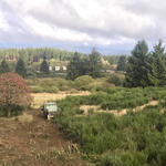 DBU-Naturerbefläche Stegskopf © Michael Buhl