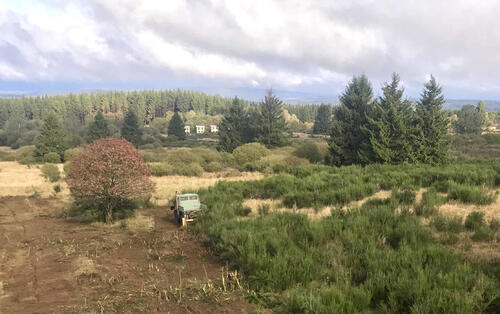 DBU-Naturerbefläche Stegskopf © Michael Buhl