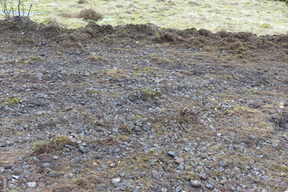 Feuersteinfelder DBU-Naturerbefläche Prora © Bundesforstbetrieb Vorpommern-Strelitz