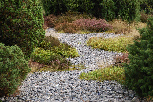 Feuersteinfelder DBU-Naturerbefläche Prora © DBU Naturerbe