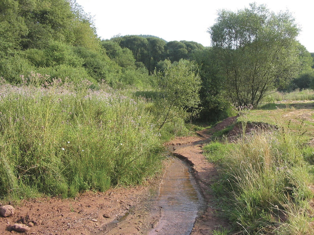 Intakte Bachlandschaft 