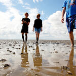 Watt © Fotolia - Edler von Rabenstein