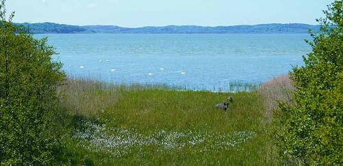 Kleiner Jasmunder Bodden_Ruegen &copy; Norbert Rosing