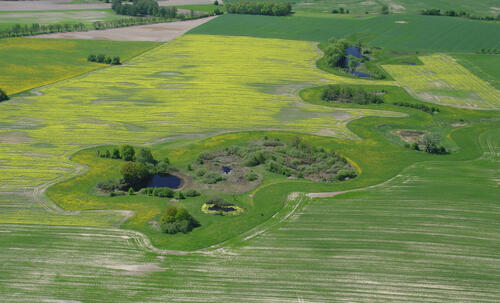 Uferrandstreifen Amphibien ZALF &copy; ZALF