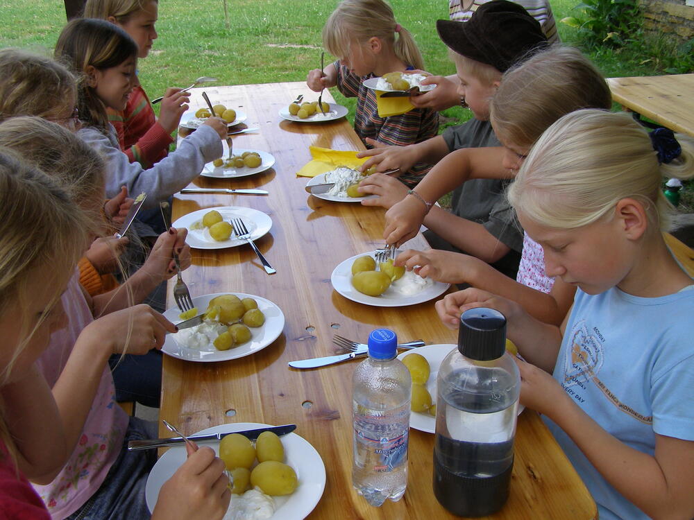 Graslöwe - Kartoffelfest 