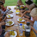 Graslöwe - Kartoffelfest 