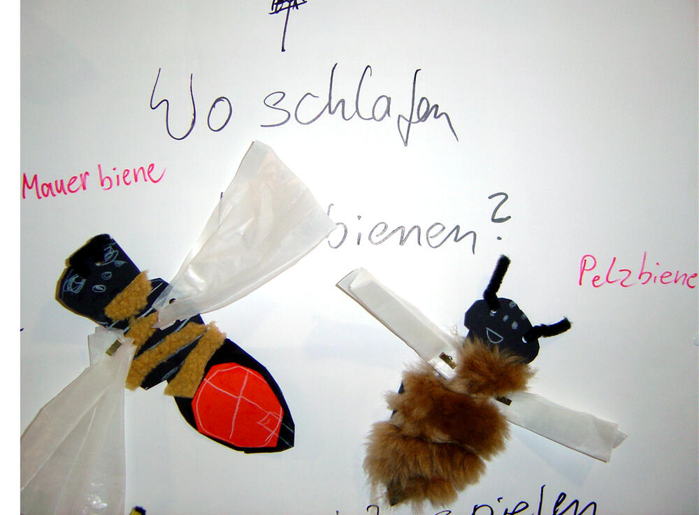 Wieslocher Wildbienen 