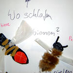 Wieslocher Wildbienen 