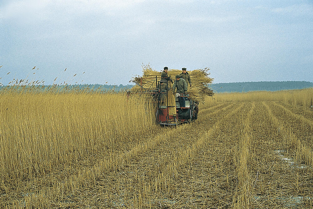Saiga Schilferntemaschine 