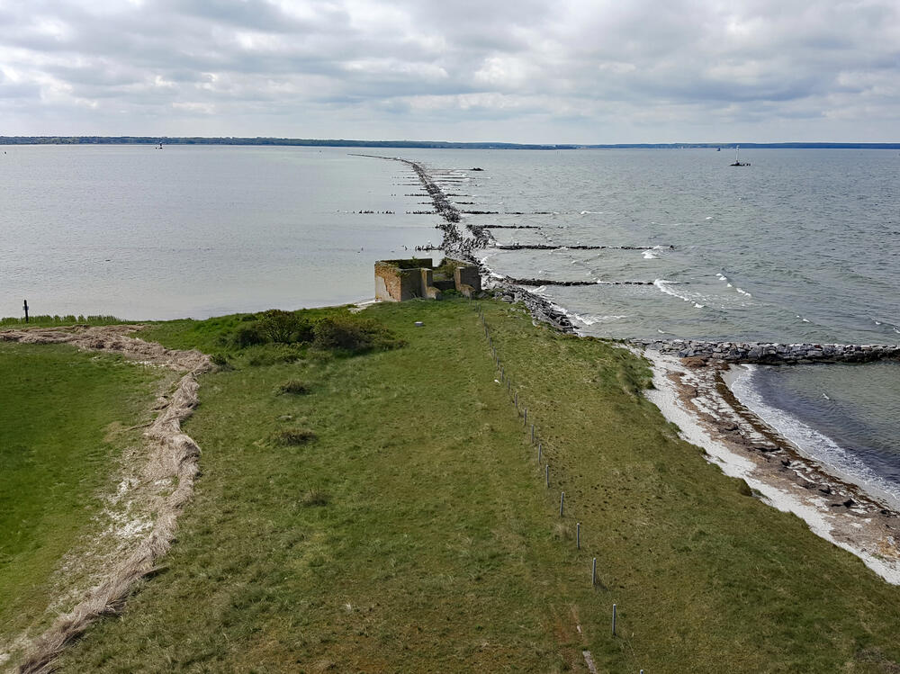 Wasservögel Insel Ruden © Jörg Tillmann/DBU Naturerbe