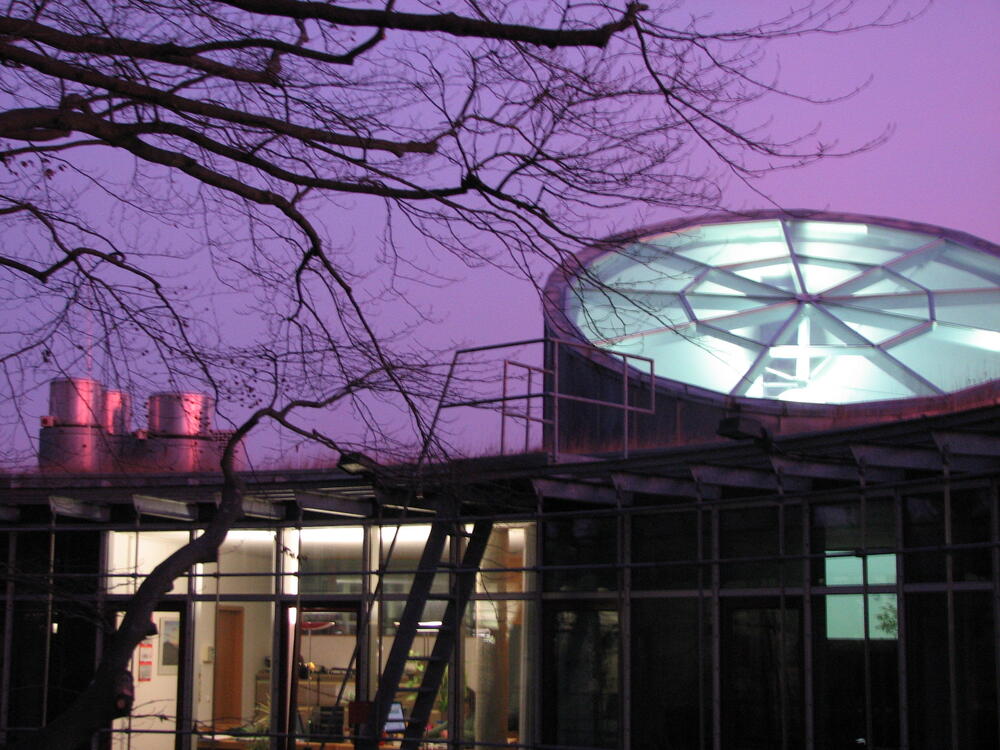 Alle Jahre wieder: Winterliche Morgendämmerung an der Bornau 