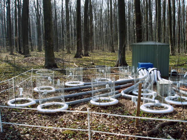 Feldarbeit © Jasmin Mantilla