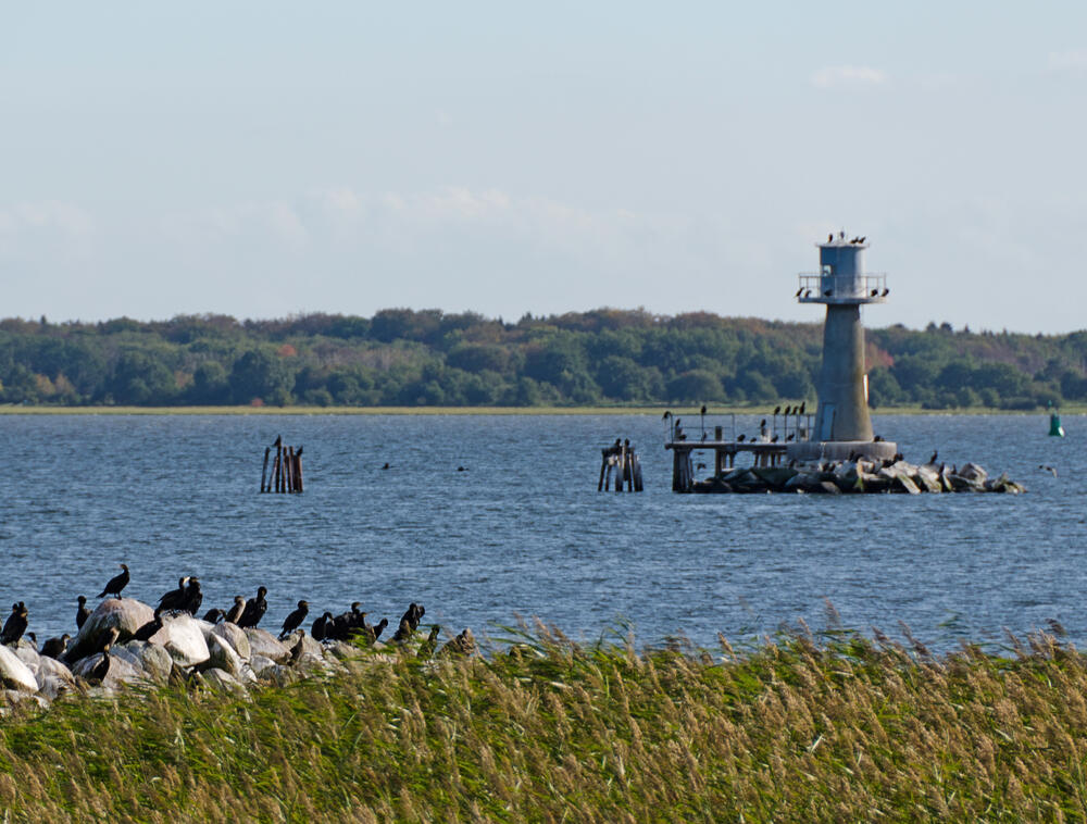 Küste der Insel Ruden 