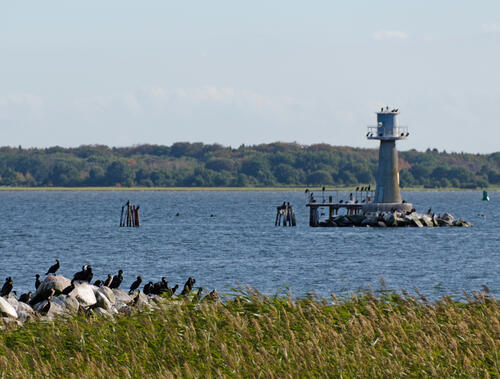 Küste der Insel Ruden 
