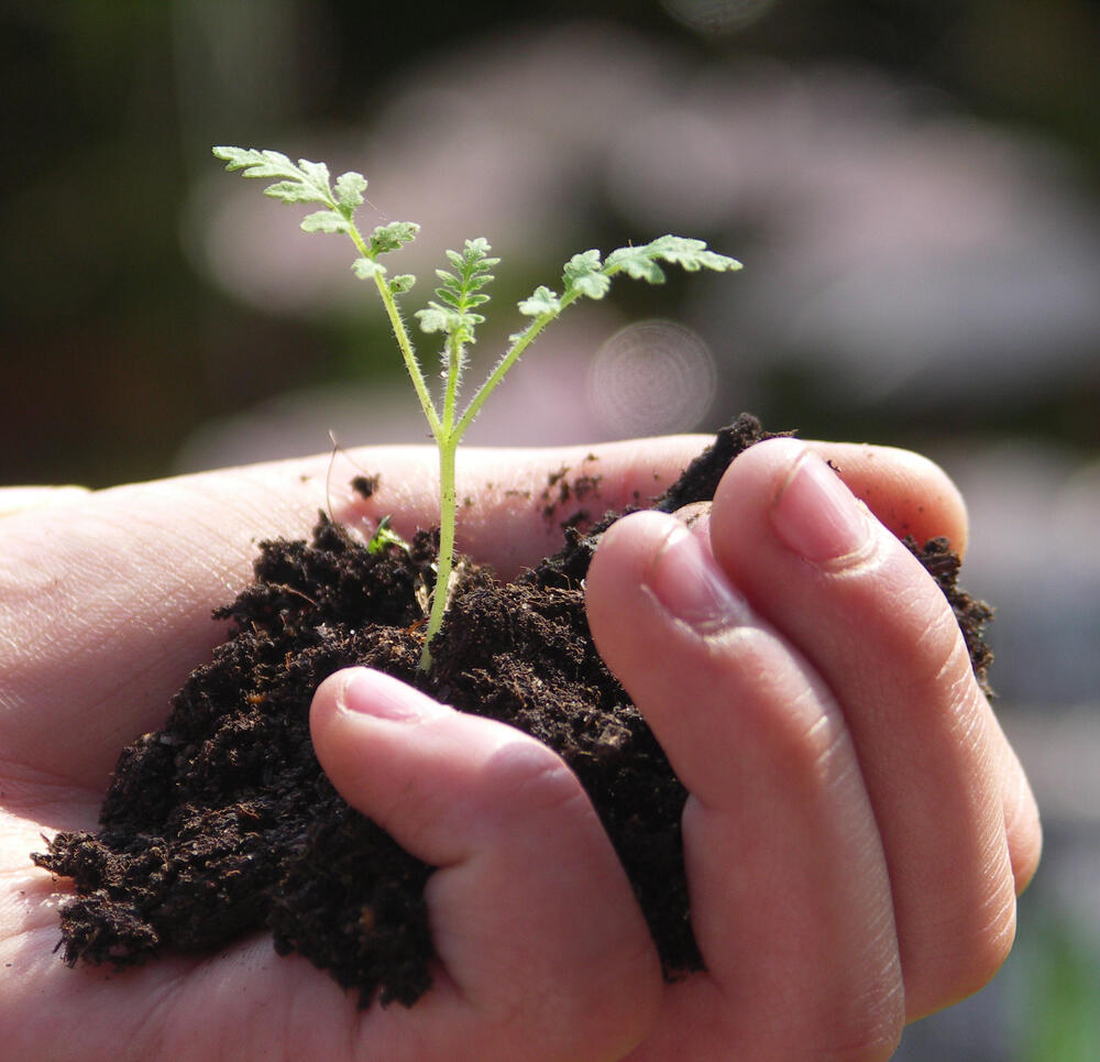 Fachtagung: Phosphor-Rückgewinnung © Foto: © Deepen-Wieczorek, Antje / piclease