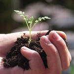 Fachtagung: Phosphor-Rückgewinnung &copy; Foto: © Deepen-Wieczorek, Antje / piclease