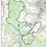 DBU-Naturerbefläche Hartmannsdorfer Forst © Deutsche Bundesstiftung Umwelt