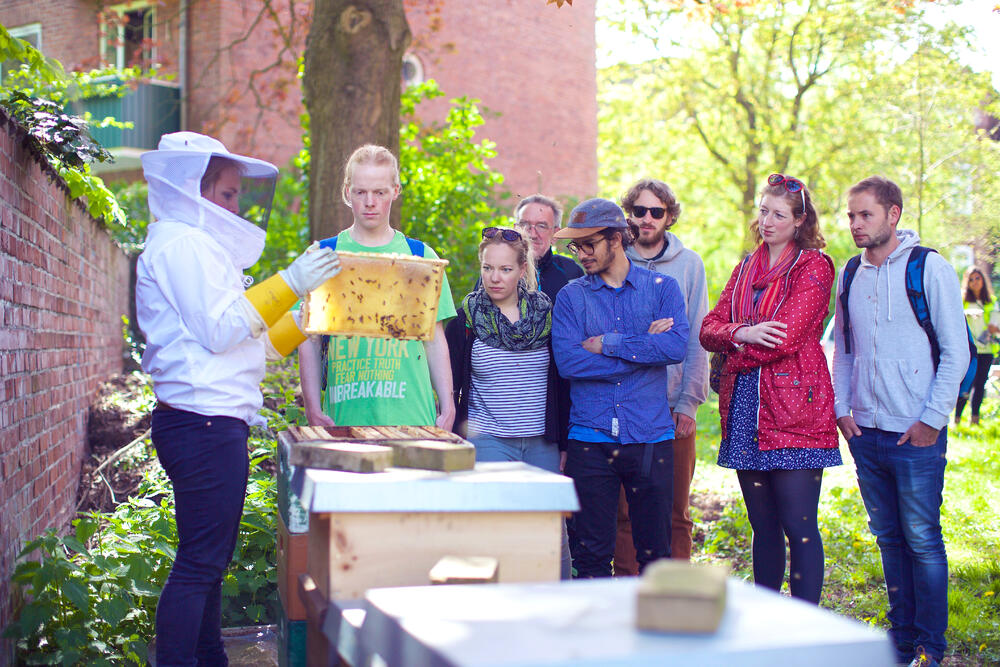 yooweedoo-Projekt: Kieler Honig © yooweedoo