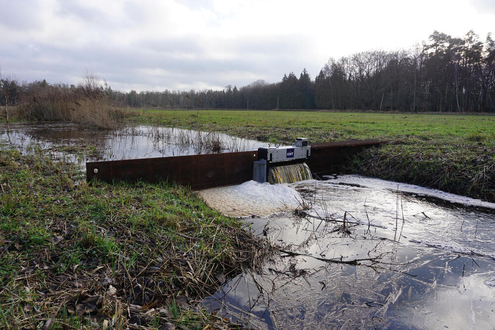 Wiedervernässung: Auf der DBU-Naturerbefläche Gelbensander Forst bei Rostock wurden u. a. neun regulierbare Kippwehre eingebaut, die nun im Frühjahr das Wasser in der Fläche halten.  © Uwe Fuellhaas/DBU Naturerbe 