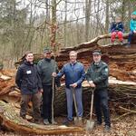 Junge Eiche Wahner Heide 