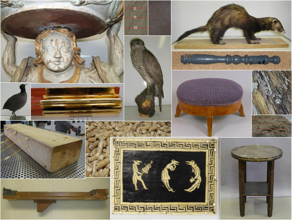 Holzschutz © UFZ und HTWK (beide Leipzig)