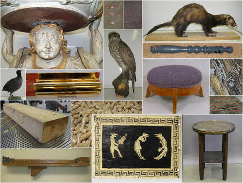 Holzschutz © UFZ und HTWK (beide Leipzig)