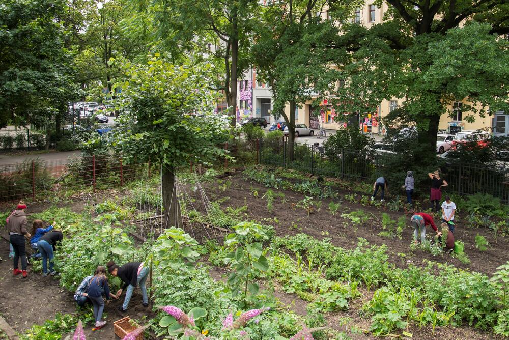 Schüler auf dem Schulacker © Katharina Kühnel