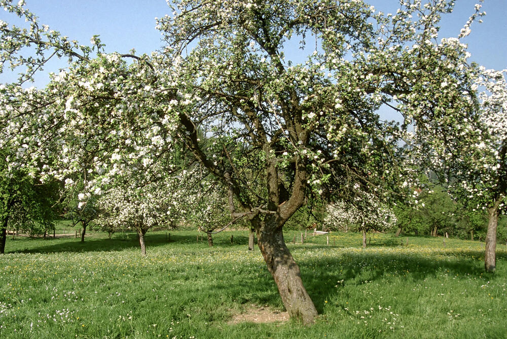 Sehen Sie selbst... &copy; piclease/Herwig Winter