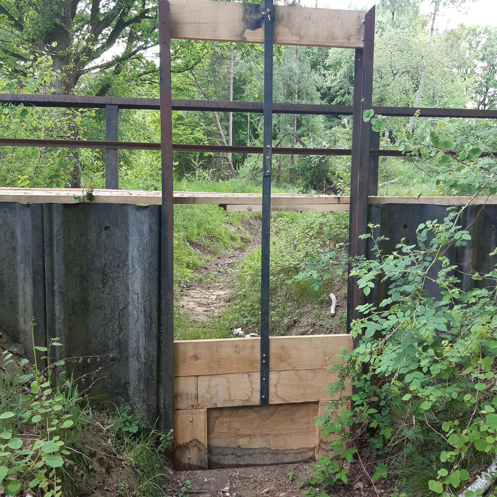 Stauwehr © Rainer Schmidt/Bundesforst