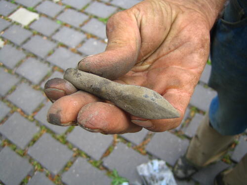 Sehen Sie selbst... &copy; Kay Lorenz/Büro für angewandte Ökologie