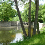 Sehen Sie selbst... &copy; Kay Lorenz/Büro für angewandte Ökologie