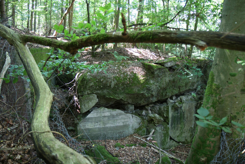 Sehen Sie selbst... &copy; Simone Schneider/BUND, Landesverband Rheinland-Pfalz e. V.