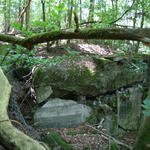 Sehen Sie selbst... &copy; Simone Schneider/BUND, Landesverband Rheinland-Pfalz e. V.