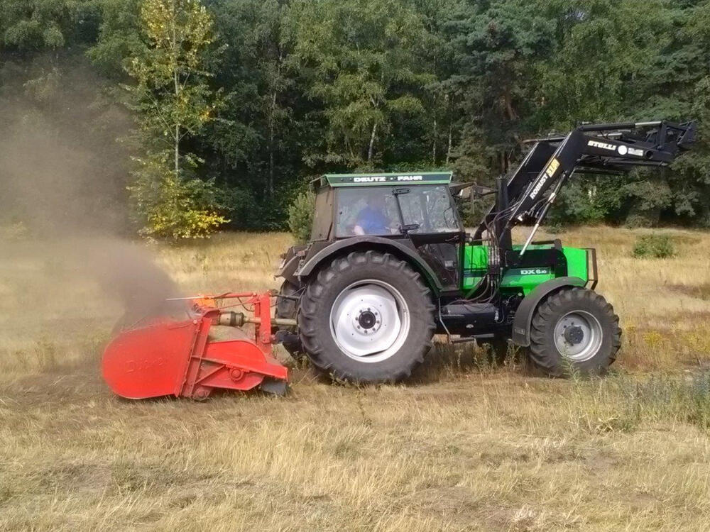 Mahd gegen giftige Pflanze © Bundesforst/Böke