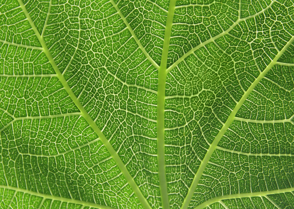 Sehen Sie selbst... &copy; Friedberg - Fotolia.com