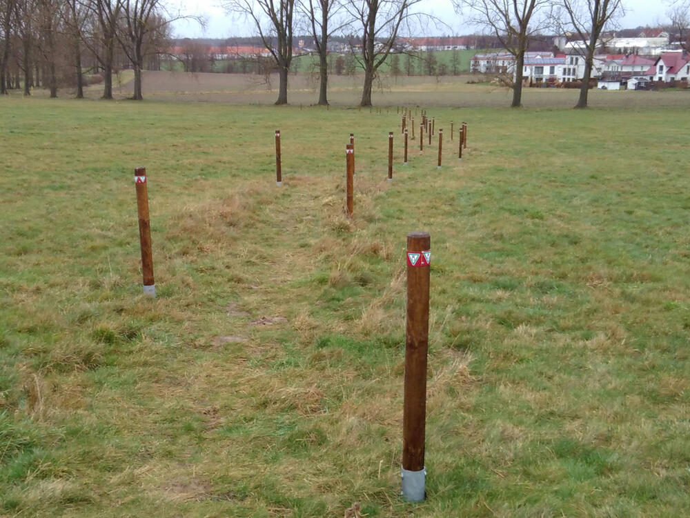 Wege Herzogsberge © Sabrina Brumme/ DBU Naturerbe