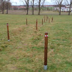 Wege Herzogsberge © Sabrina Brumme/ DBU Naturerbe