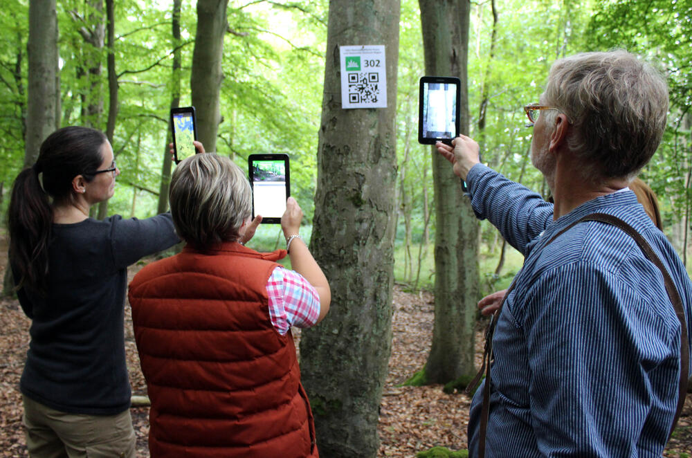 Naturerbe App, DBU-Naturerbefläche Prora © DBU Naturerbe