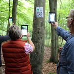 Naturerbe App, DBU-Naturerbefläche Prora © DBU Naturerbe