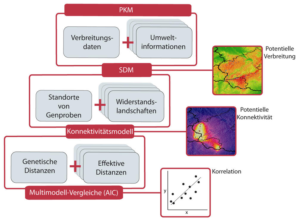 Ergebnisse © Jan O. Engler 