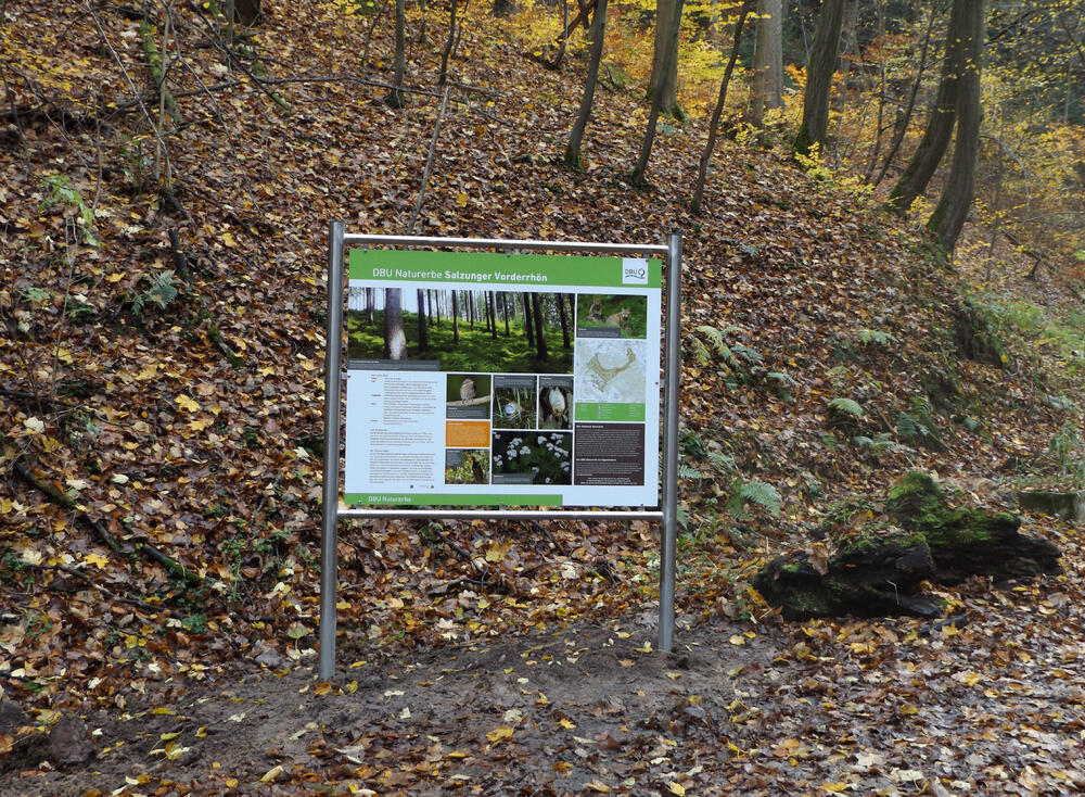 Sehen Sie selbst... © Bundesforstbetrieb Thüringen-Erzgebirge